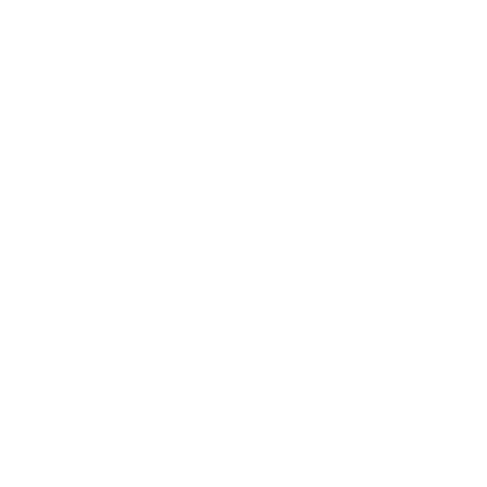 EVR Logo